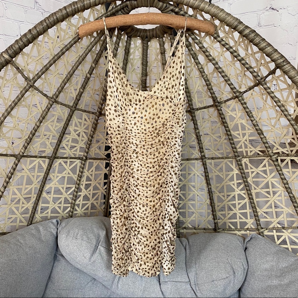 Urban Outfitters Animal Print Rush Mesh Bodycon